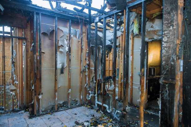 Professional Fire Damage Removal technician working in Cedar Bluff, VA